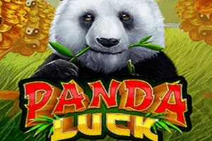 Playtech : Panda Luck - BETPLAY138